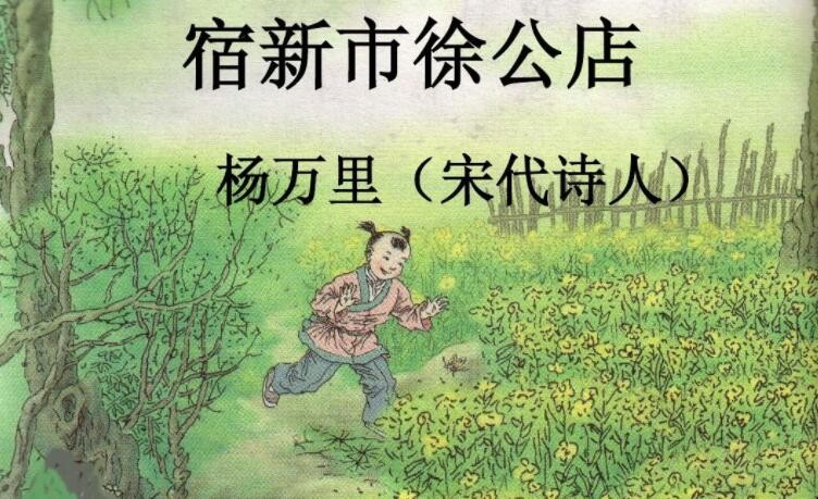 《宿新市徐公店》属于什么类型的诗
