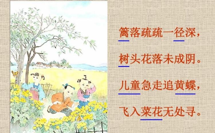 《宿新市徐公店》展现了一幅什么的画面