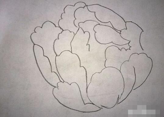 牡丹花简笔画怎么画