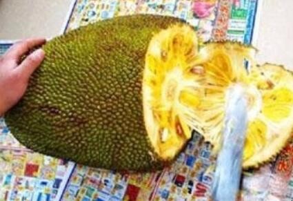 菠萝蜜怎么剥