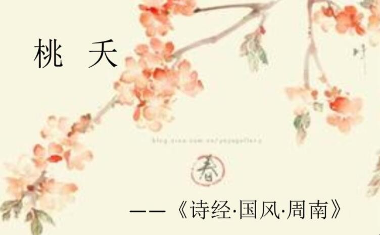 《周南·桃夭》的翻译是什么