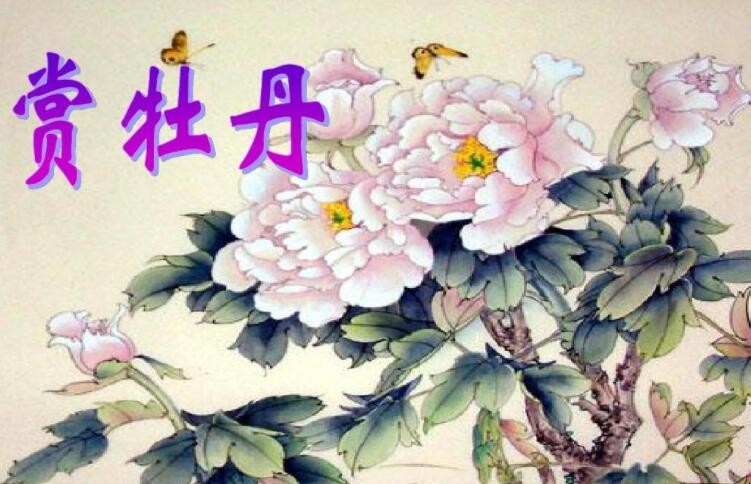 描写牡丹花的诗句有哪些