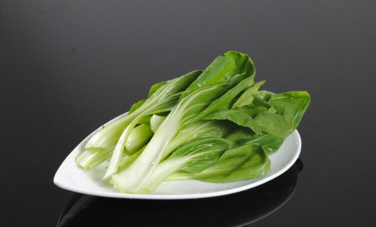 上海青和油菜的区别是什么