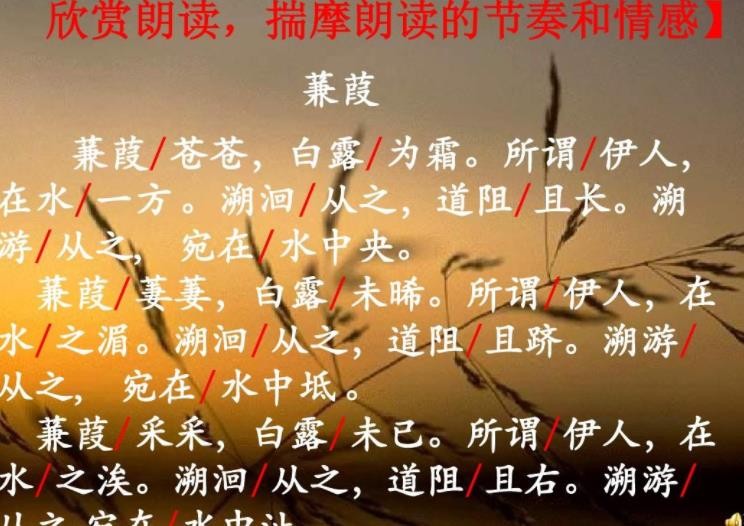 《蒹葭》的象征意义是什么