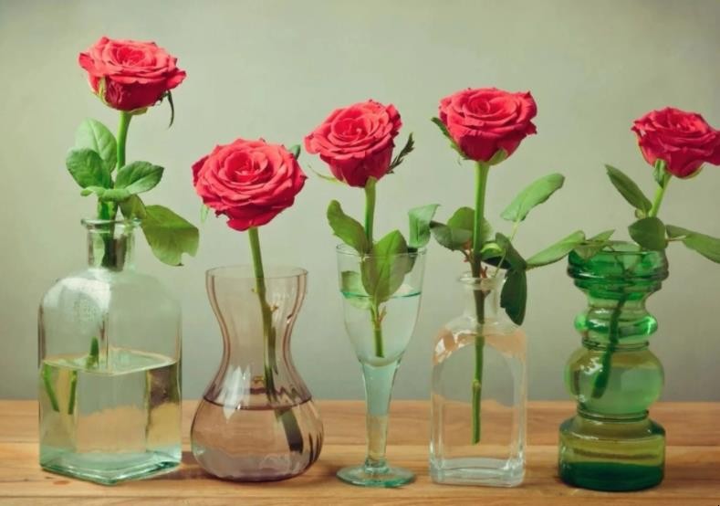 鲜花怎么保鲜