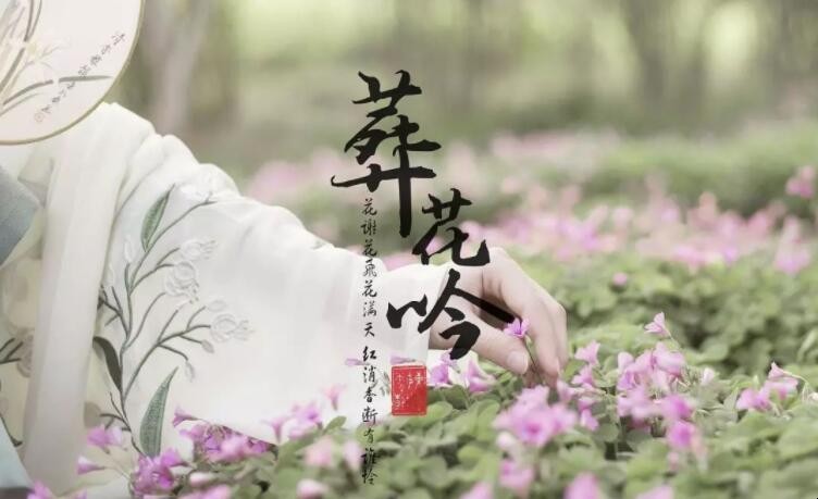 《葬花吟》的原文是什么