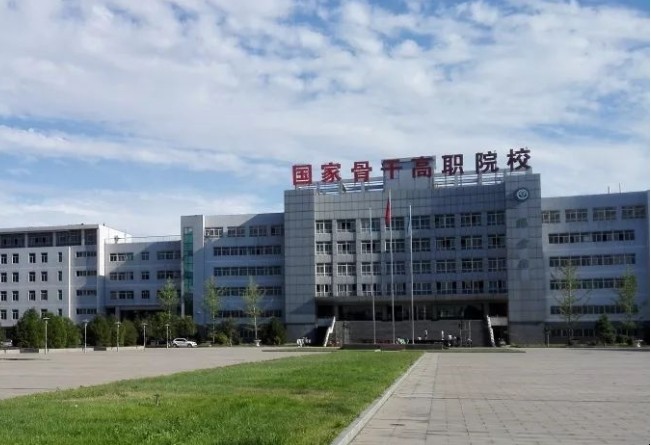 什么是高职院校