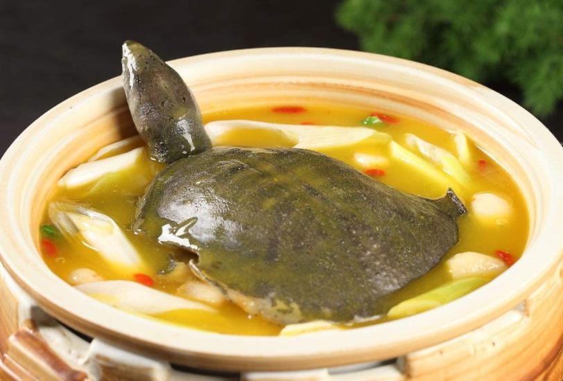老鳖汤的做法怎么不腥窍门
