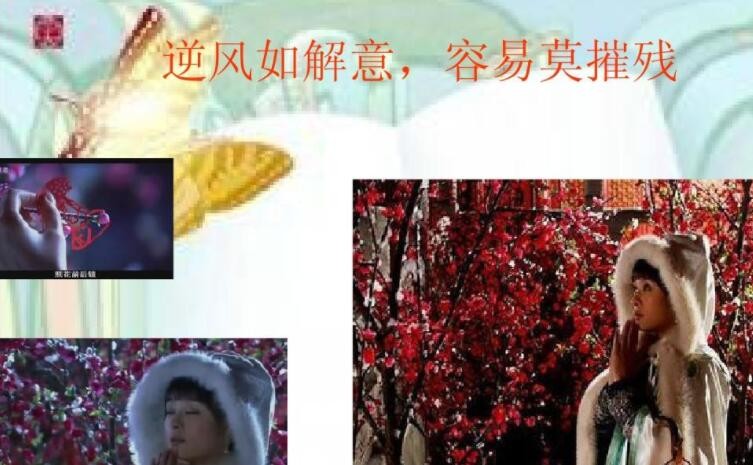 逆风如解意容易莫摧残什么意思