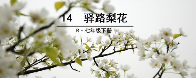 驿路梨花分段概括 驿路梨花分段概括内容