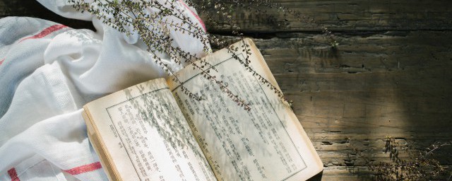 割爱小说简介 割爱小说内容梗概