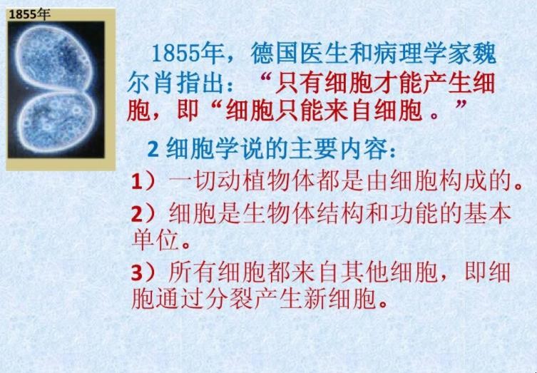 细胞学说的内容是什么