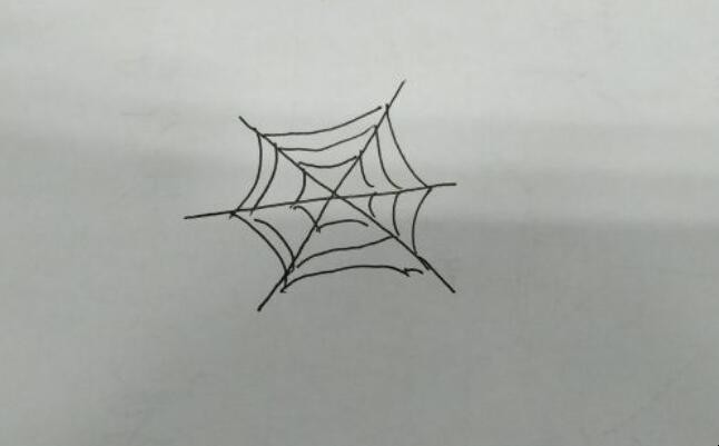 蜘蛛网简笔画怎么画