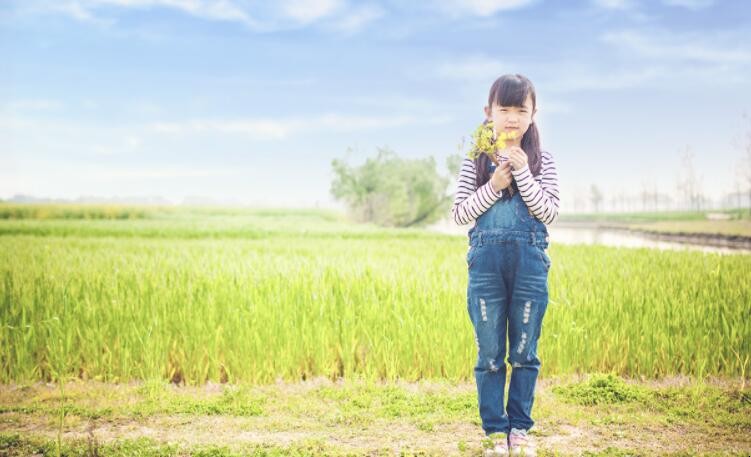 侄女是属于什么关系