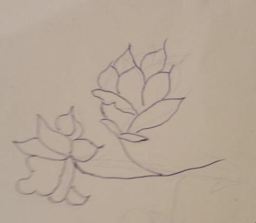 栀子花简笔画怎么画