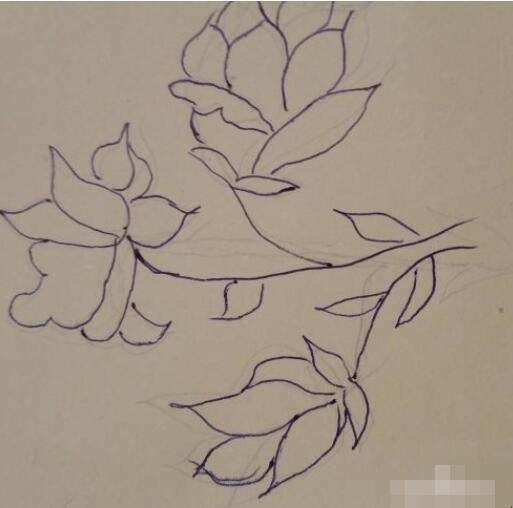 栀子花简笔画怎么画
