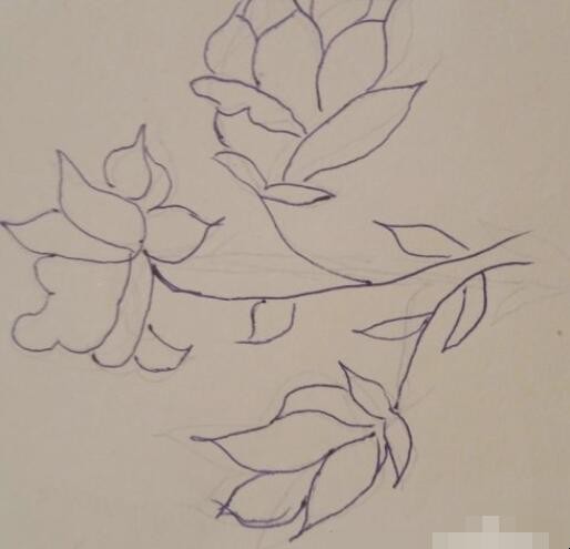 栀子花简笔画怎么画