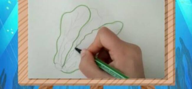 生菜简笔画怎么画