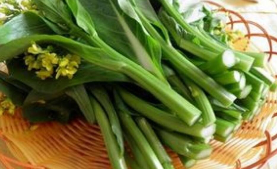 菜心是什么季节的