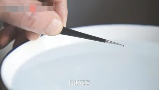 怎么炖煮燕窝