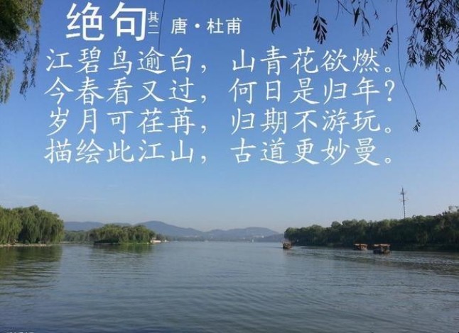 《绝句二首·其一》的诗意是什么