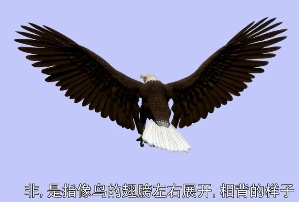 非是什么意思