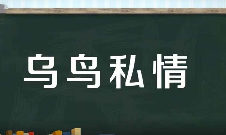 乌鸟私情怎样造句