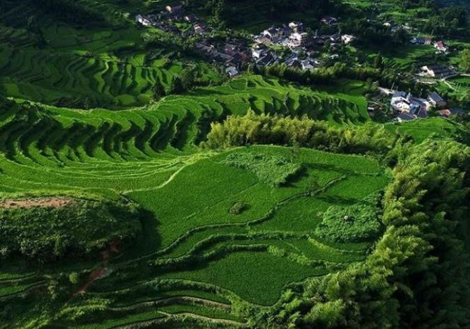 丽水地形地貌如何样