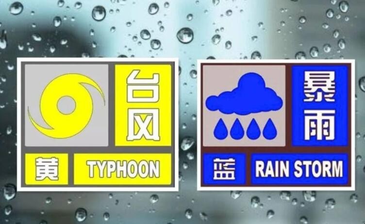 台风黄色预警是什么级别