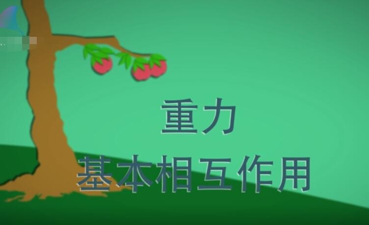 什么是相互作用力