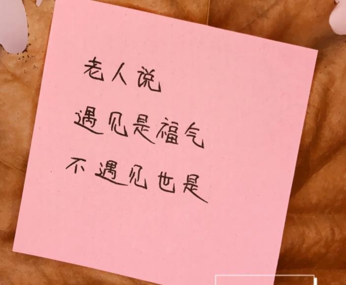 遇见的句子有哪些