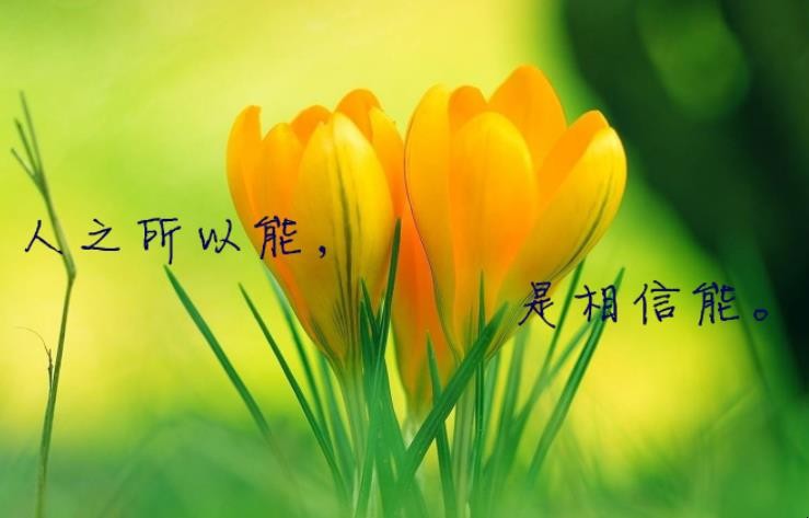 生活哲理名言有哪些