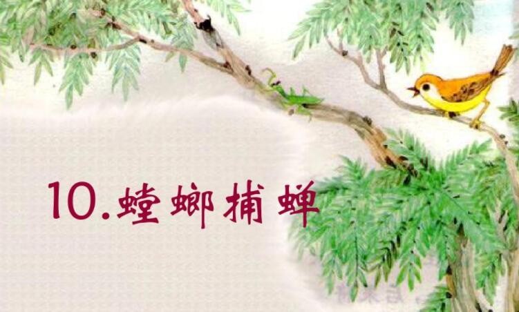 《螳螂捕蝉》告诉我们什么意义