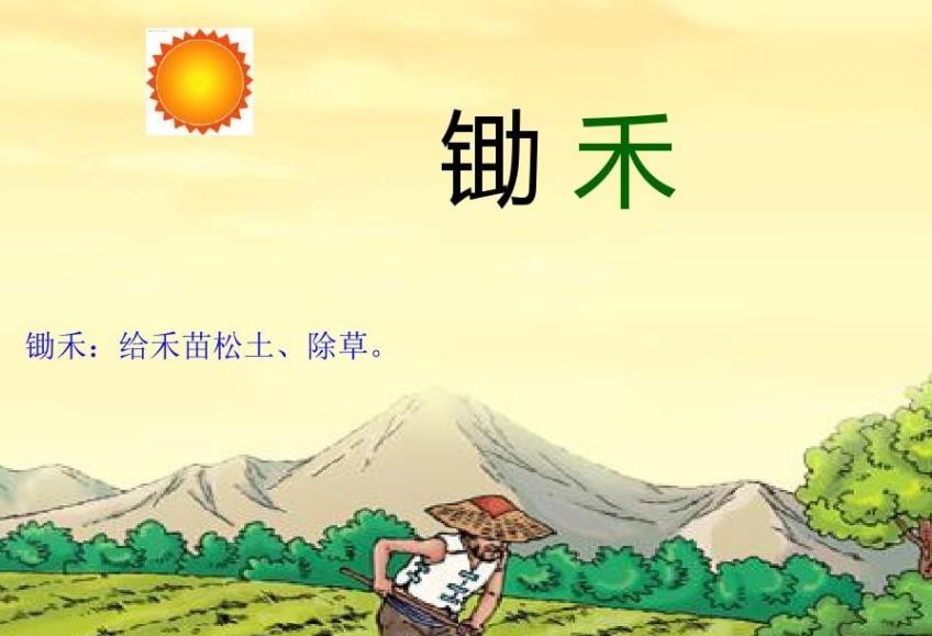《悯农二首》表达了什么情感
