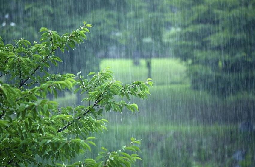 杭州梅雨季节是几月份