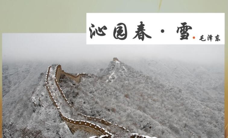 山舞银蛇是什么意思