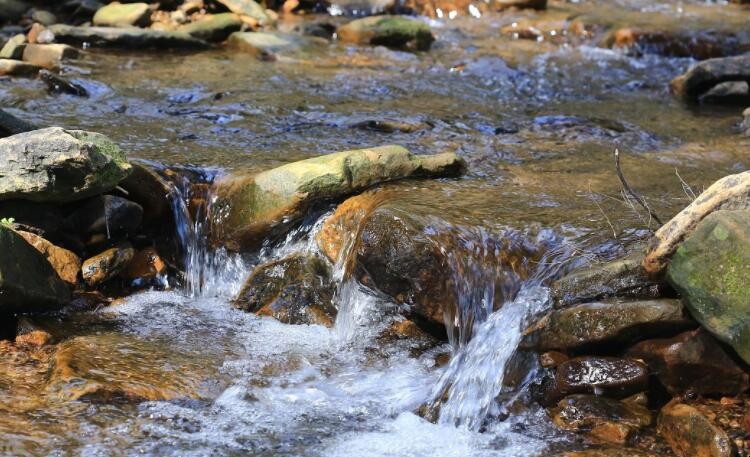 山泉水和矿泉水的区别是什么