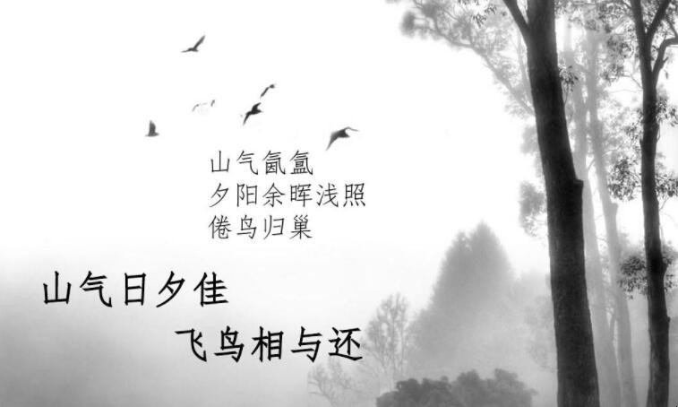 山气日夕佳的下一句是什么