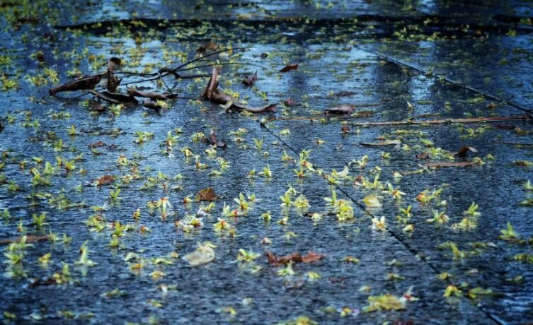 秋雨绵绵的意思是什么