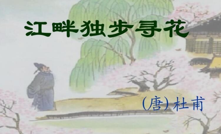 《江畔独步寻花七绝句》的诗意是什么