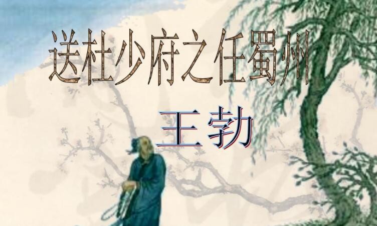 《送杜少府之任蜀州》属于什么体裁