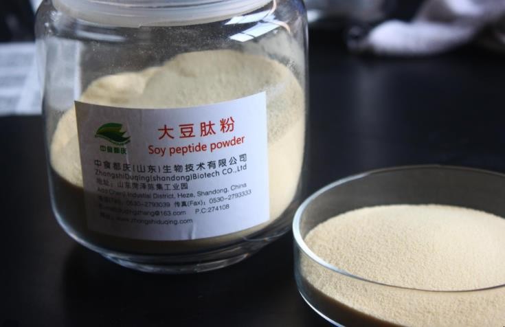 大豆肽粉有什么功效