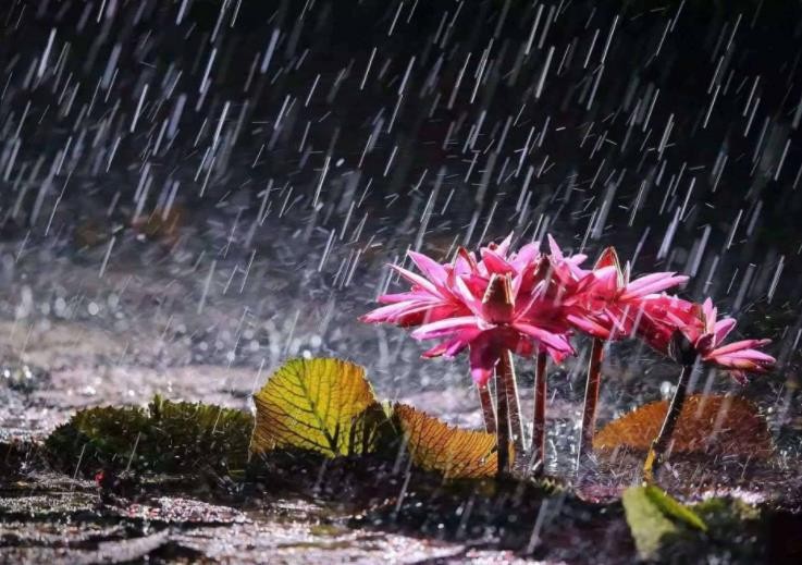 梅雨天气是什么时候