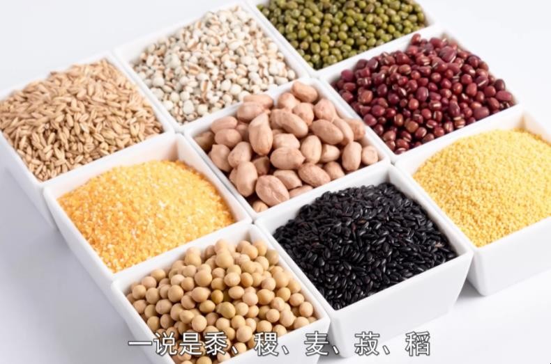 菽是指什么农作物