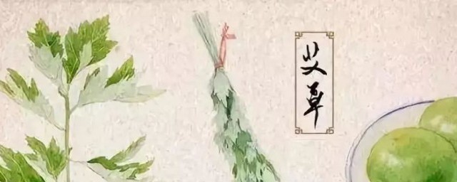 端午艾叶洗澡文案 关于端午艾叶洗澡文案