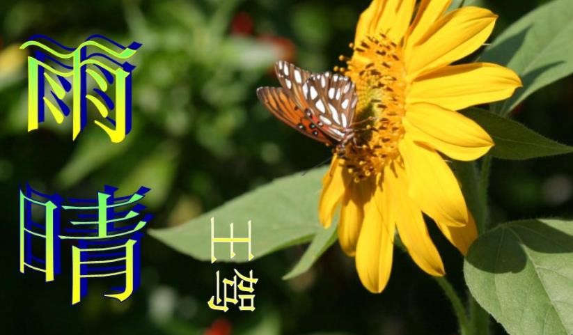 《雨晴》创作背景是什么