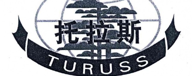 托拉斯是什么意思 托拉斯的组织形式是怎样的