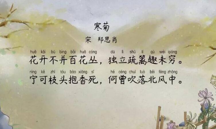 《寒菊》的原文是什么