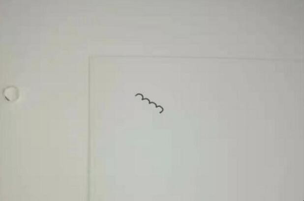 饼干简笔画怎样画