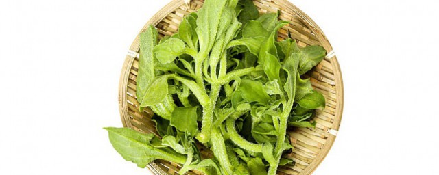 冰菜的禁忌 冰菜的作用是什么